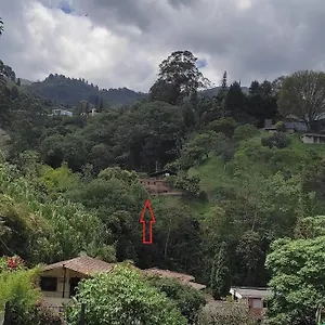 https://mountain-cabin-for-bird-watching.colombiamedellinhotels.com